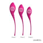 KIT COM 3 PESOS PARA POMPORISMO PURO SILICONE S HANDE - Imagem 4