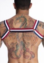 HARNESS EM ELÁSTICO TRICOLOR - Imagem 2