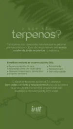 CB2 PULSE GEL EXCITANTE QUE VIBRA INTT - Imagem 3