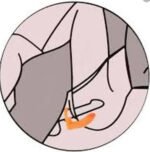 ANEL COMPANHEIRO 11CM  X 2,7CM - Imagem 2