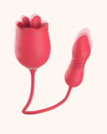 ROSA LILIUM 7 VAI E VEM