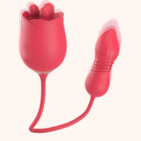 ROSA LILIUM 7 VAI E VEM