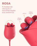 ROSA LILIUM 7 VAI E VEM - Imagem 5