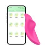 VIBRADOR DE CALCINHA VIA APP PANAME - Imagem 6