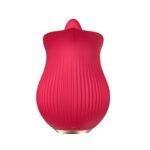 FLOWER LINGUA 12 MODOS RECARREGÁVEL - Imagem 6