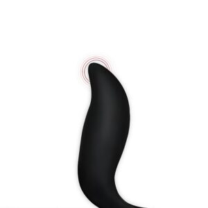 PLUG PARA PROSTATA COM ANEL PENIANO - Imagem 2
