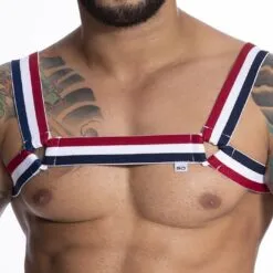 HARNESS EM ELÁSTICO TRICOLOR